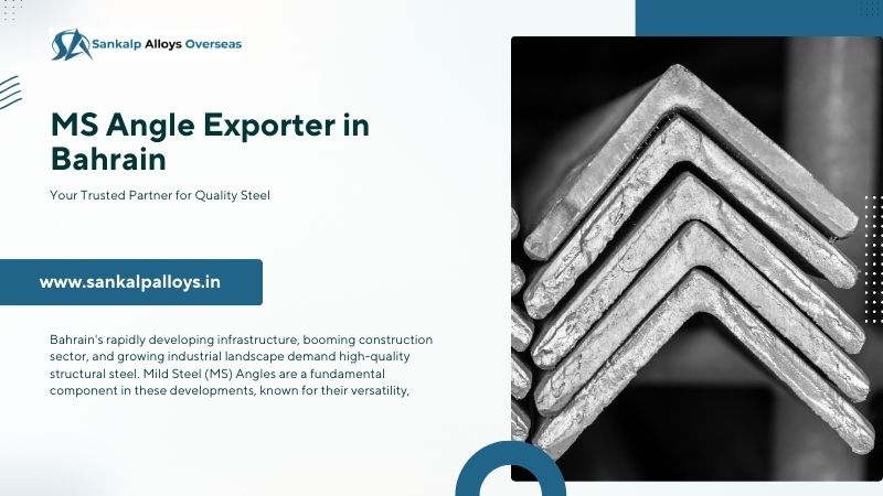 MS Angle Exporter in Bahrain
